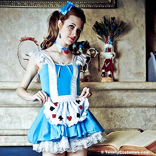 Alice In Wonder Place Costume Alternate View Back Details