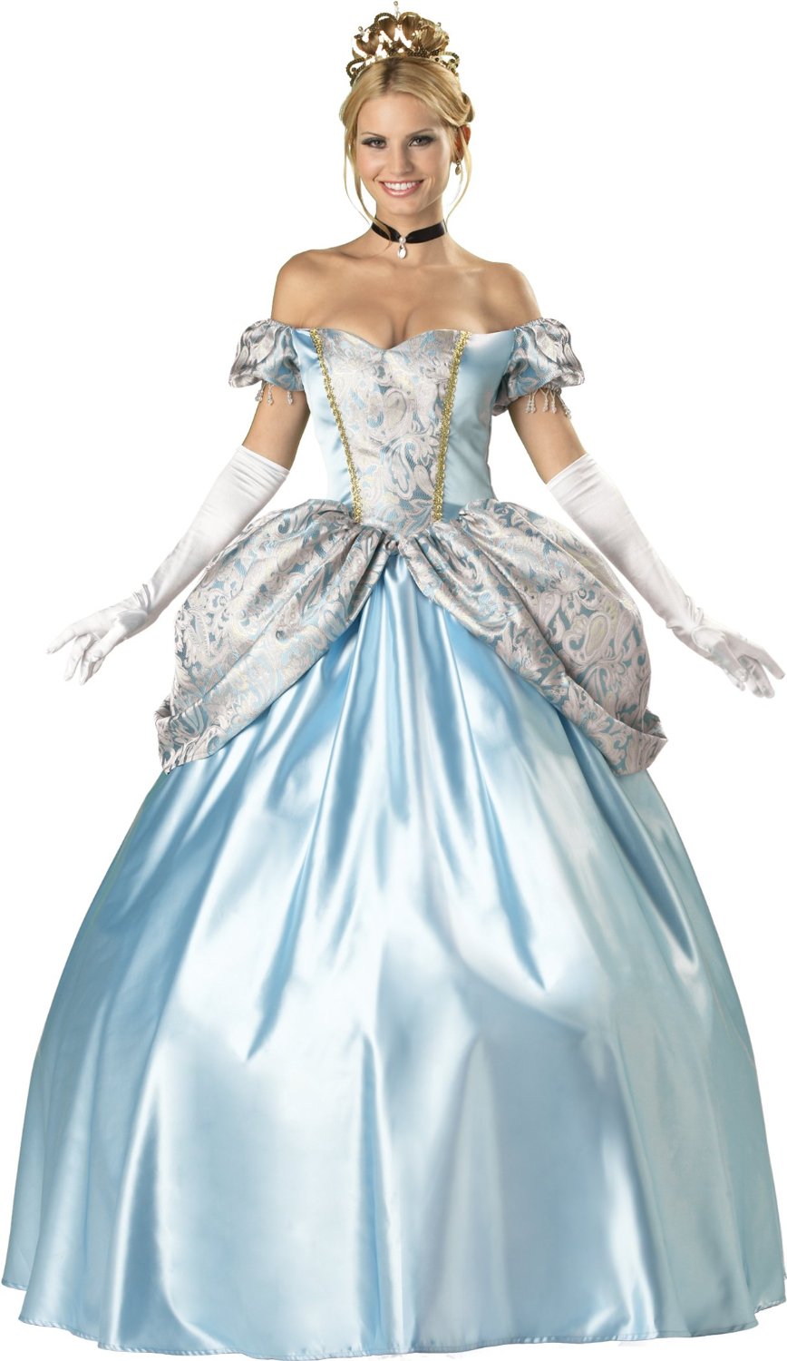 Women's Enchanting Princess Costume
